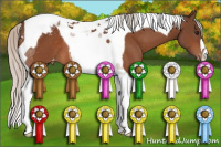 Horse Color:Silver Bay Tobiano Snowcap 