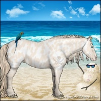 Horse Color:Perlino Appaloosa 