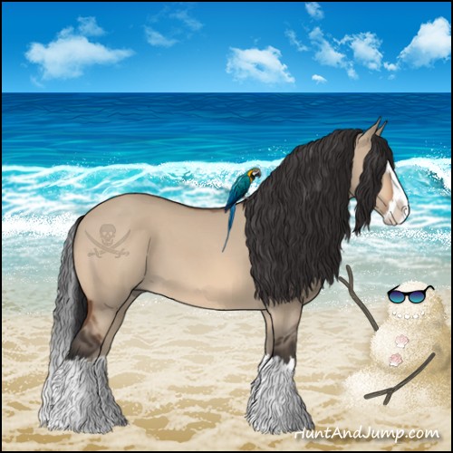 Horse Color:Brown Dun Sabino Splash