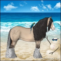 Horse Color:Brown Dun Sabino Splash