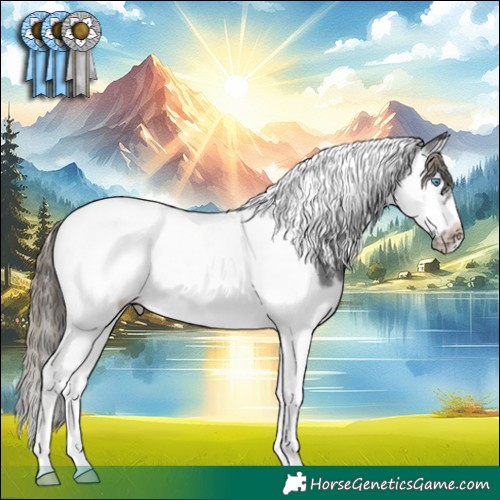 Horse Color:Smoky Black Splash Tobiano Frame Appaloosa 