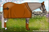 Horse Color:Silver Grullo Appaloosa 