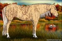 Horse Color:Chestnut and Palomino