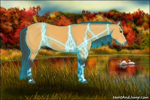 Horse Color:Thunderstruck Buckskin