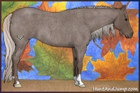 Horse Color:Silver Blue Roan 