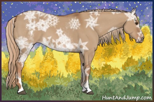 Horse Color:White Spotted Red Dun Ice
