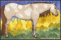 Horse Color:Red Dun Ice 