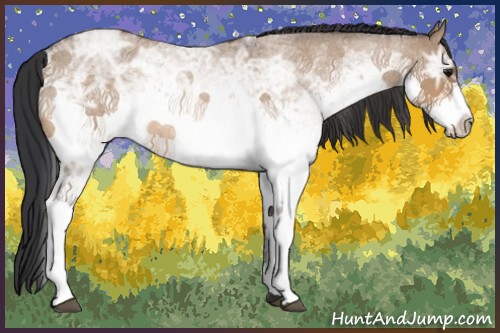 Horse Color:White Spotted Bay Ice Roan Dun Rabicano