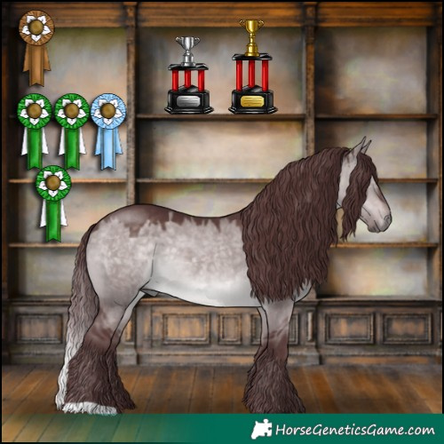 Horse Color:Platinum Chocolate Brown Dun 
