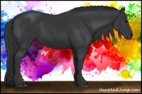 Horse Color:Black Sabino 