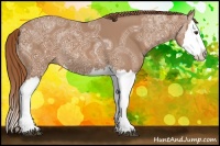 Horse Color:Chestnut Ice Splash 