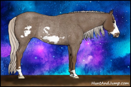 Horse Color:Silver Smoky Blue Roan Frame Rabicano 