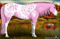 Horse Color:Watercolor Black Sabino Appaloosa