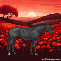 Horse Color:Blue Roan 