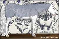 Horse Color:Watercolor Silver Black Chinchilla Splash Rabicano 