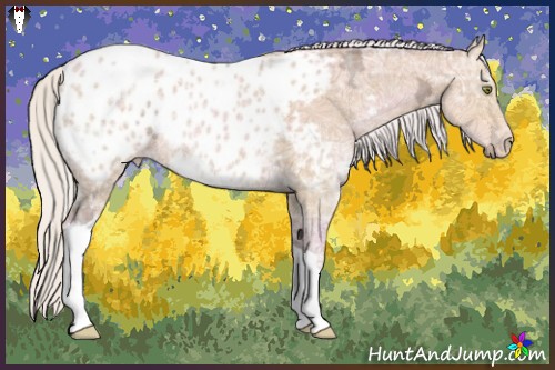 Horse Color:Watercolor Silver Amber Champagne Ice Appaloosa Rabicano 