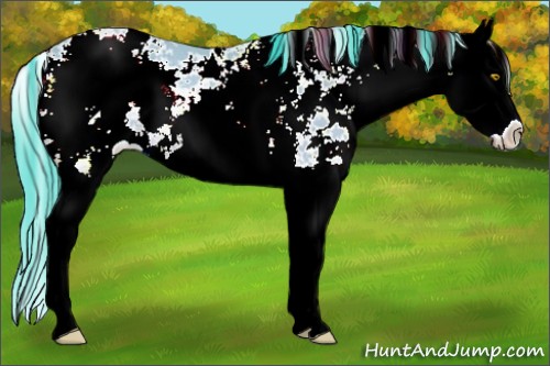 Horse Color:Watercolor Amber Champagne Sabino Splash Rabicano