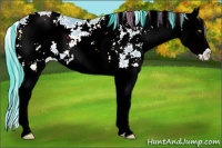 Horse Color:Watercolor Amber Champagne Sabino Splash Rabicano 