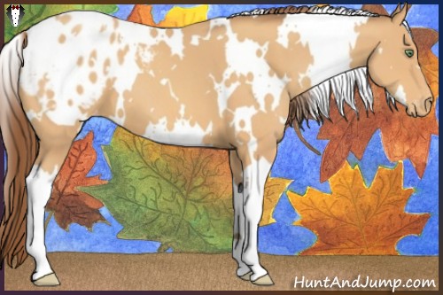 Horse Color:White Spotted Sable Cream Champagne Blanket