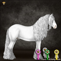 Horse Color:Platinum Silver Grullo Appaloosa