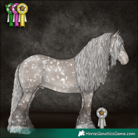 Horse Color:Platinum Silver Grullo Snowflake Varnish