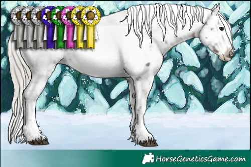 Horse Color:Silver Grullo Sabino Tobiano Near Fewspot