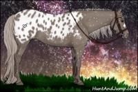 Horse Color:Silver Grullo Appaloosa 