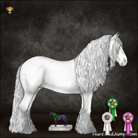 Horse Color:Silver Grullo Roan Appaloosa