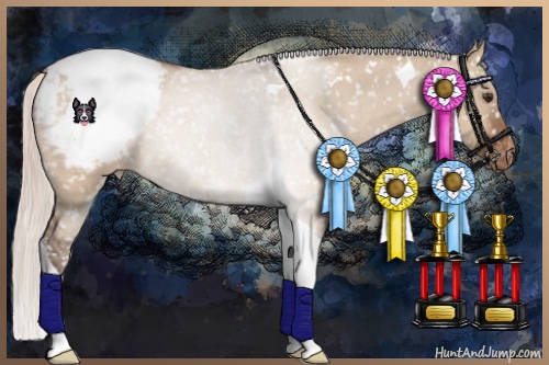Horse Color:Silver Brown Dun Tobiano Snowcap 