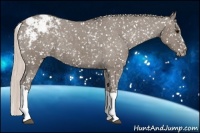 Horse Color:Silver Grullo Snowflake Varnish 