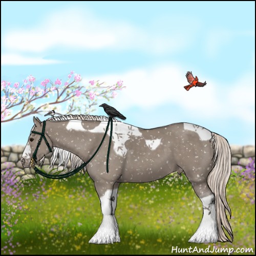 Horse Color:Silver Grullo Tobiano Appaloosa 