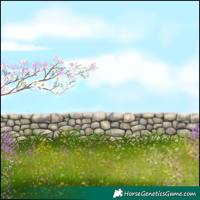 Horse Color:Silver Grullo Tobiano Appaloosa