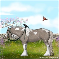 Horse Color:Silver Grullo Tobiano Appaloosa 