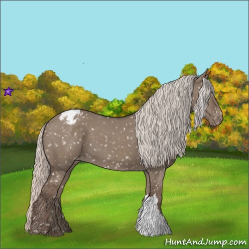 Horse Color:Silver Grullo Snowflake Varnish 