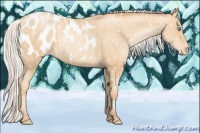 Horse Color:Silver Classic Champagne Pearl Appaloosa 