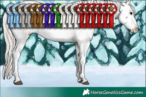 Horse Color:Silver Grullo Tobiano Near Fewspot