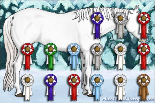 Horse Color:Silver Grullo Tobiano Appaloosa 