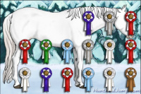 Horse Color:Silver Grullo Tobiano Appaloosa 