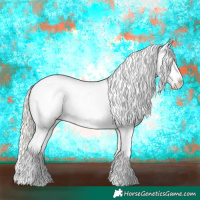 Horse Color:Silver Smoky Grullo Appaloosa 