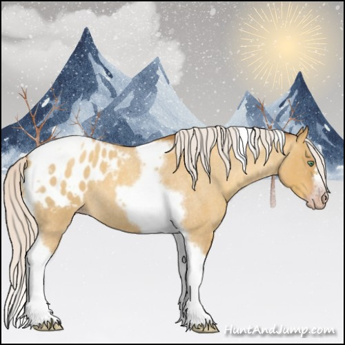 Horse Color:Gray Silver Amber Cream Champagne Roan Dun Splash Tobiano Frame Appaloosa Rabicano 