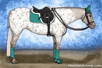 Horse Color:Silver Grullo Roan Appaloosa 