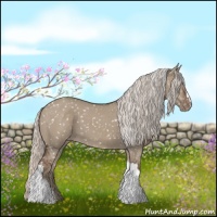 Horse Color:Silver Grullo Appaloosa