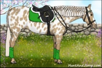 Horse Color:Silver Smoky Grullo Appaloosa 