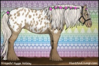 Horse Color:Silver Smoky Grullo Appaloosa 