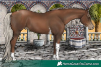 Horse Color:Gray Silver Black Pearl Tobiano 