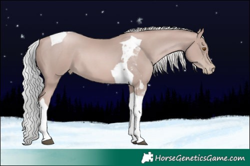Horse Color:Platinum Silver Black Pearl Tobiano