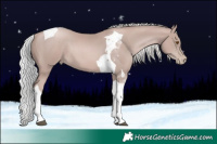 Horse Color:Platinum Silver Black Pearl Tobiano 