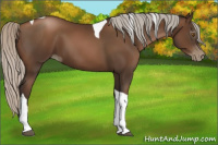 Horse Color:Gray Silver Black Pearl Tobiano