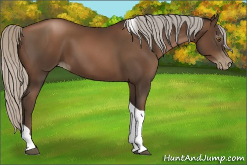 Horse Color:Gray Silver Black Pearl Tobiano 