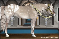 Horse Color:Silver Grullo Onyx Sabino Blanket